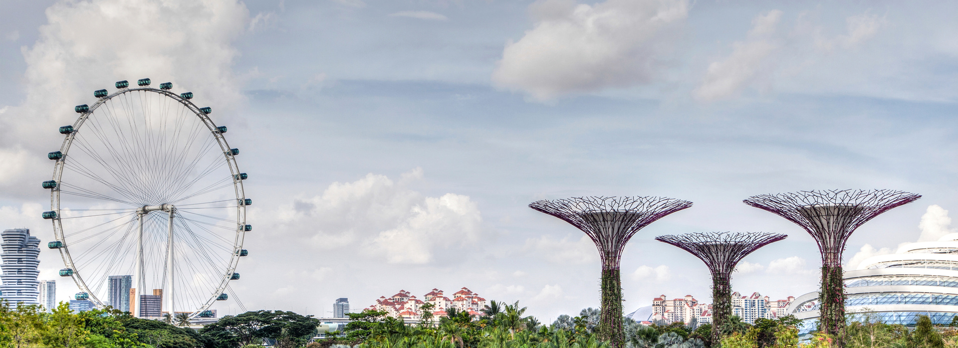 Singapore Skyline