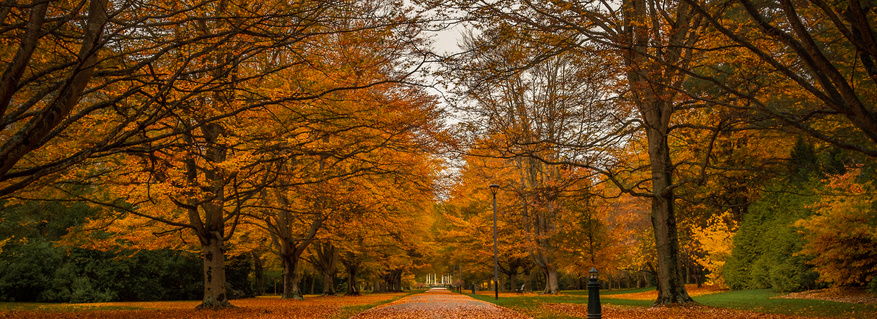 Invercargill, New Zealand