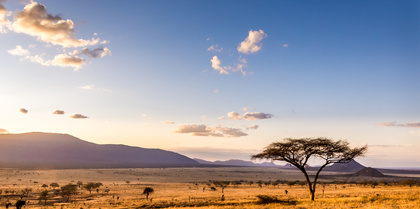 Sunset at Savannah Plains, Kilimanjora